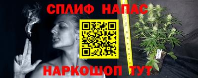 PSILOCYBIN Будённовск