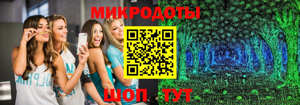 Псилоцибиновые грибы Cubensis Печора